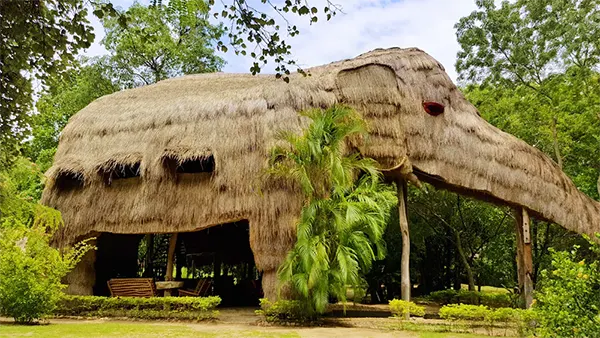 Sri Lanka Jungle Stay